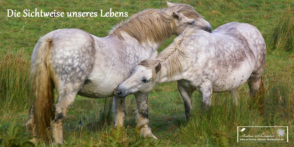 Die Sichtweise unseres Lebens