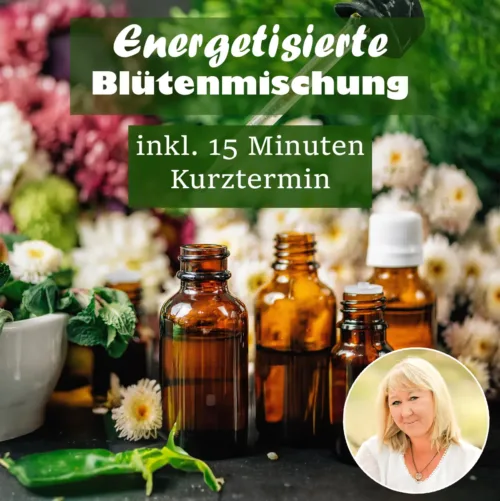 Blütenmischung inklusive Kurztermin